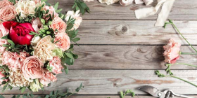 نیلگل گالری