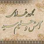 مجموعه غذای سنتی دانشجو (سید)