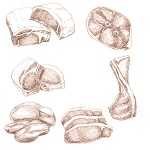 پروتئین ایرانا