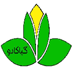 گل فروشی گیاکادو