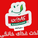 نمایندگی کامچین