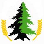 گلفروشی جهان کودک