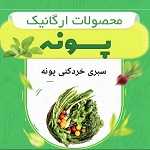 سبزی خردکنی پونه