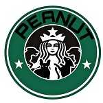 لوگو پت شاپ پینات