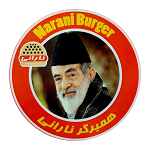 همبرگر مخصوص نارانی