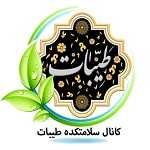 سلامتکده طیبات