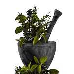 گیاهان دارویی سبزینه