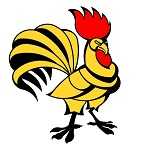 سوخاری کیلویی خروس