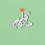 غذا خونگی خانم گل