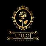 گلسرای امینی