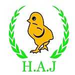 اکبر جوجه برادران کلبادی (شعبه 3)