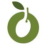 زیتون دلفین