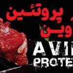 آوین پروتئین (شعبه مرکزی)