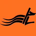 بیرون بر ساحل