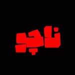 فست فود ناچو