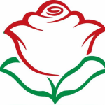 گل های زعیم