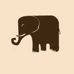 کافه رستوران پارادیزو