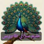 حلیم سرای طاووس