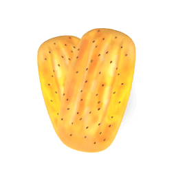 superType_نانوایی